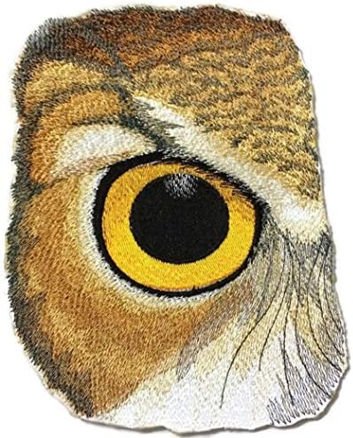 עין מותאמת אישית וייחודית של ינשוף ברזל רקום על תיקון/תפירה [6.87 4.63] [תוצרת ארהב]